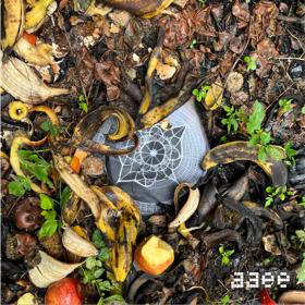 AAEE sagrado nodulo sinusal.png