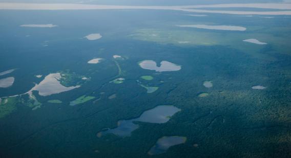 Amazônia - Félix Blume (Arte Radio, 2019).jpg