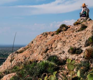 Desierto - Félix Blume (Arte Radio, 2022) square.jpg