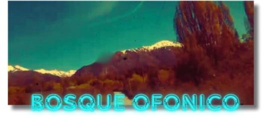 BOSQUE OFONICO.jpg
