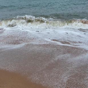 OBRA 5_MONTEAUDIO23_LUISMARISQUIRENA.jpg