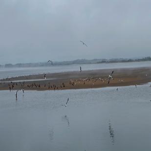 OBRA 6_MONTEAUDIO23_LUISMARISQUIRENA.jpg