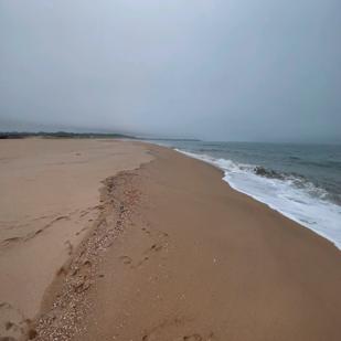 OBRA 7_MONTEAUDIO23_LUISMARISQUIRENA.jpg