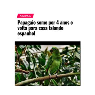 registro2-raquelstolf_listadenoticias_dreamandreality_RADIOMONT