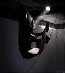 PLASTICIDAD DESTRUCTIVA6.jpg